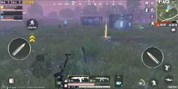 和平精英最新版本爆料,全新内容爆料，战火升级再燃激情