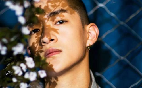 最新爆料屈楚萧新料,揭秘娱乐圈背后的真相