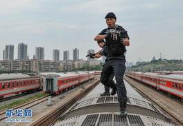 重庆铁路爆料案件最新,揭秘背后真相与法律追责进程