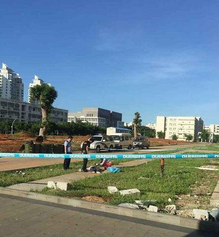 最新海南大学爆料,揭秘校园新动态与未来发展规划