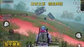 和平精英最新爆料12,革新战场，体验极致竞技盛宴