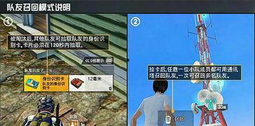 精英僵尸爆料视频大全最新,揭秘幕后真相与惊悚瞬间