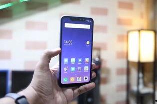 红米最新款爆料视频播放